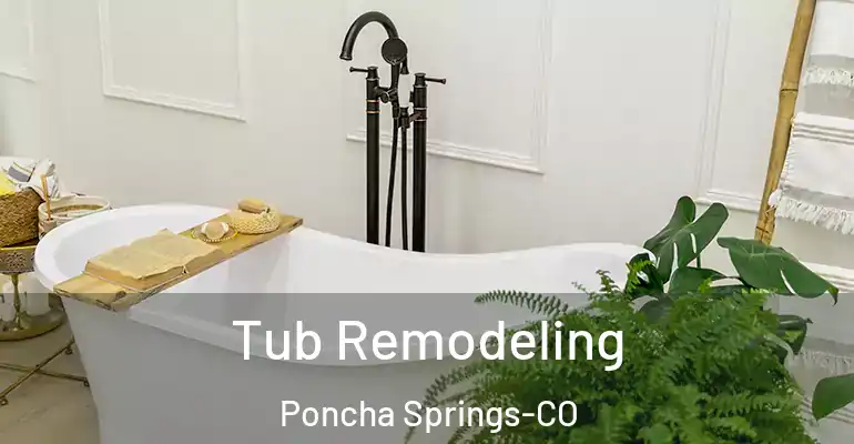 inner Bathroom imggen Tub Remodeling Poncha Springs-CO
