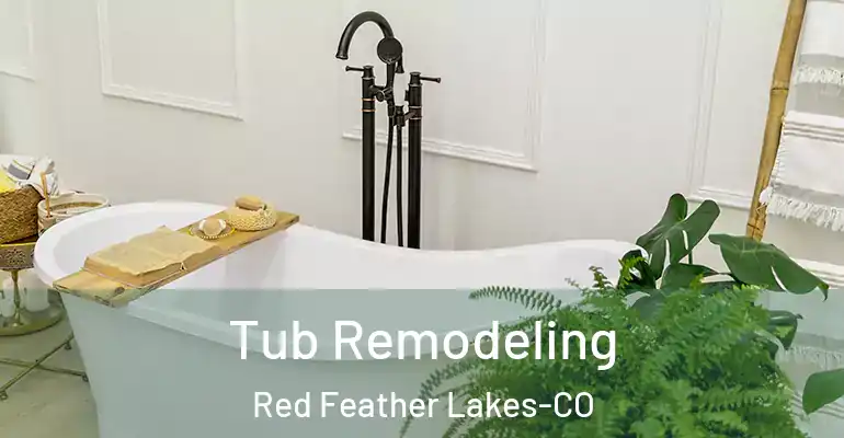 inner Bathroom imggen Tub Remodeling Red Feather Lakes-CO