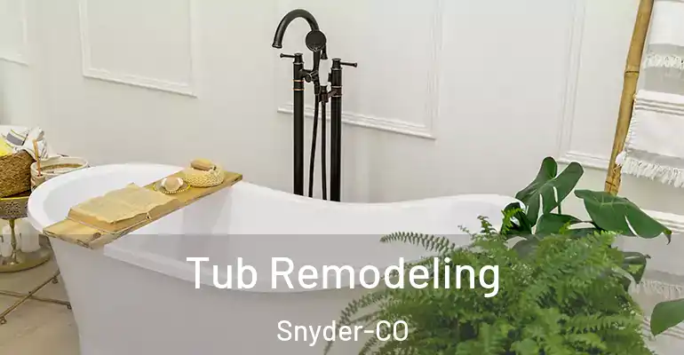 inner Bathroom imggen Tub Remodeling Snyder-CO