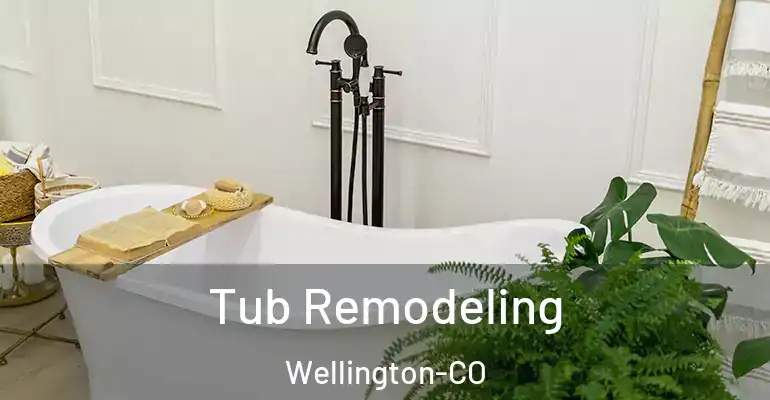inner Bathroom imggen Tub Remodeling Wellington-CO