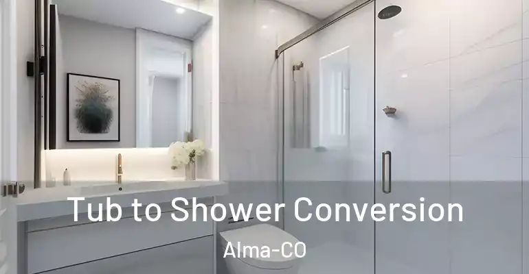 inner Bathroom imggen Tub to Shower Conversion Alma-CO