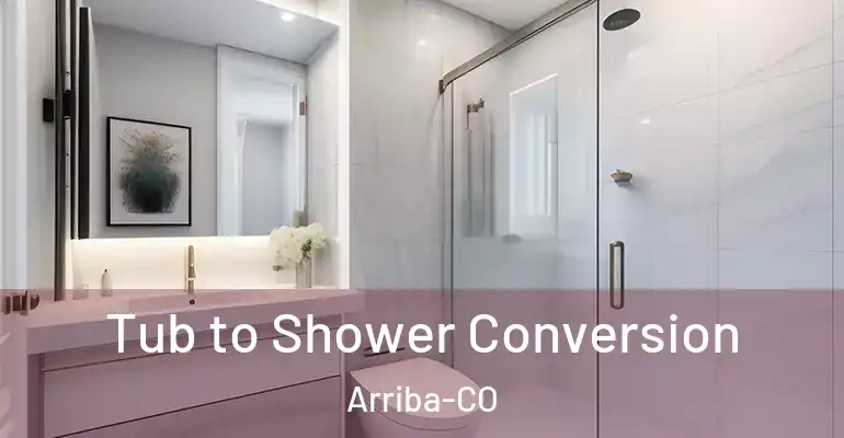 inner Bathroom imggen Tub to Shower Conversion Arriba-CO