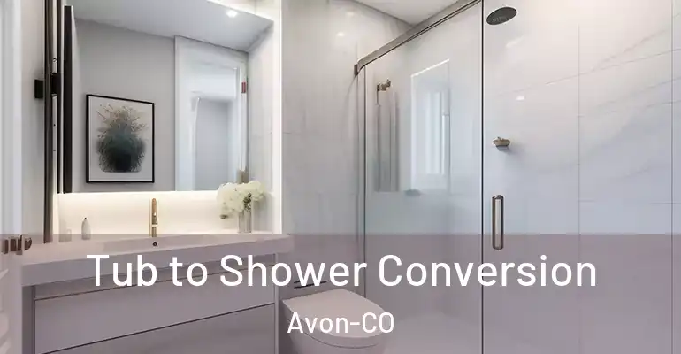 inner Bathroom imggen Tub to Shower Conversion Avon-CO
