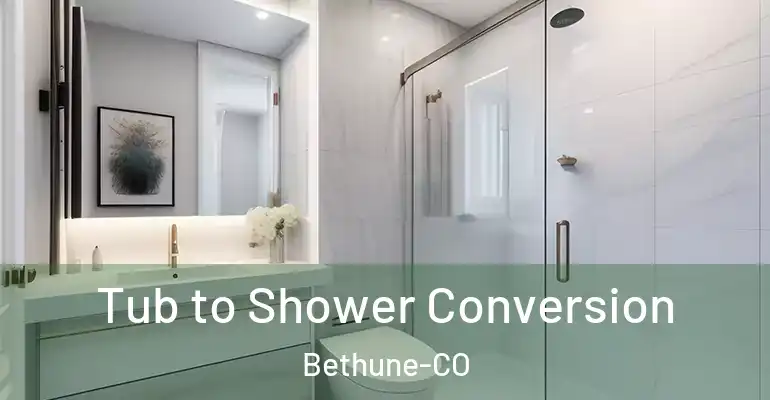 inner Bathroom imggen Tub to Shower Conversion Bethune-CO