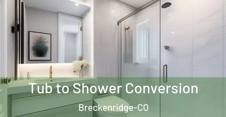 inner Bathroom imggen Tub to Shower Conversion Breckenridge-CO