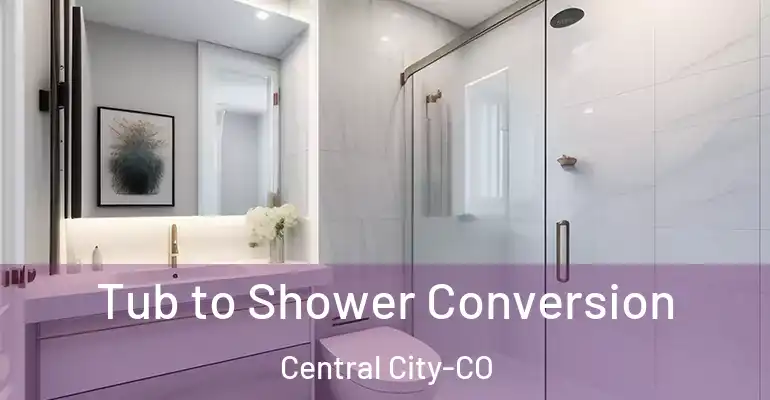 inner Bathroom imggen Tub to Shower Conversion Central City-CO