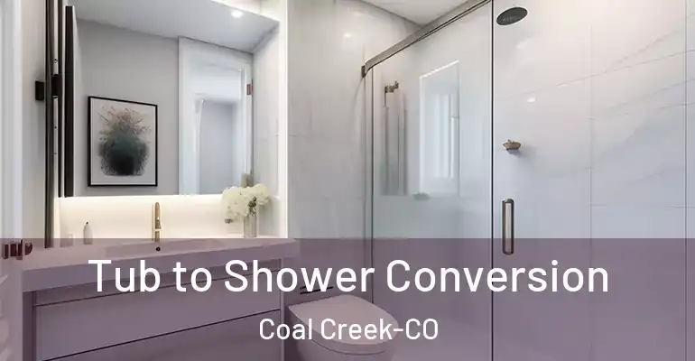 inner Bathroom imggen Tub to Shower Conversion Coal Creek-CO