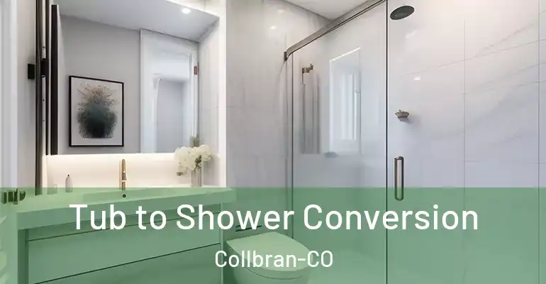 inner Bathroom imggen Tub to Shower Conversion Collbran-CO