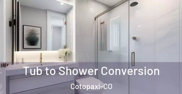 inner Bathroom imggen Tub to Shower Conversion Cotopaxi-CO