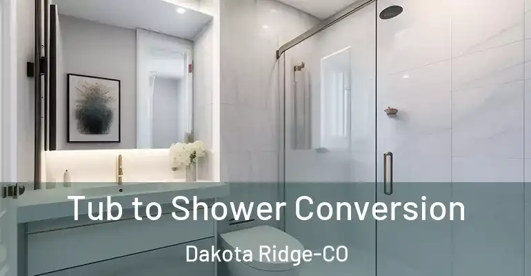 inner Bathroom imggen Tub to Shower Conversion Dakota Ridge-CO
