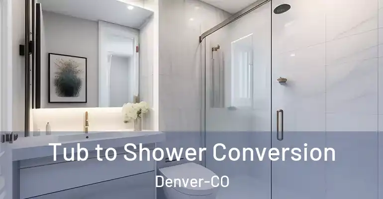 inner Bathroom imggen Tub to Shower Conversion Denver-CO