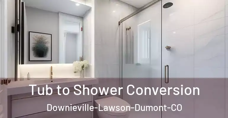 inner Bathroom imggen Tub to Shower Conversion Downieville-Lawson-Dumont-CO