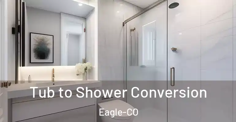 inner Bathroom imggen Tub to Shower Conversion Eagle-CO