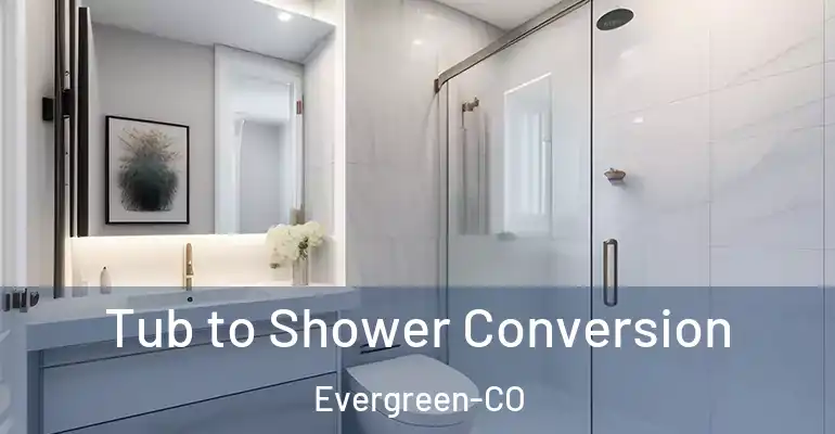 inner Bathroom imggen Tub to Shower Conversion Evergreen-CO