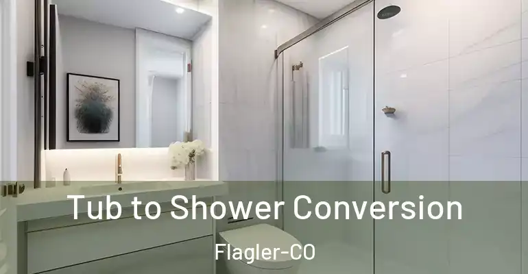 inner Bathroom imggen Tub to Shower Conversion Flagler-CO