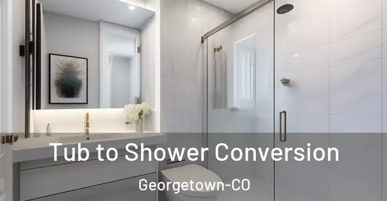 inner Bathroom imggen Tub to Shower Conversion Georgetown-CO