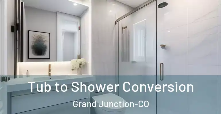 inner Bathroom imggen Tub to Shower Conversion Grand Junction-CO
