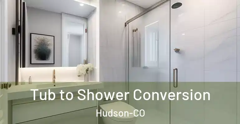 inner Bathroom imggen Tub to Shower Conversion Hudson-CO