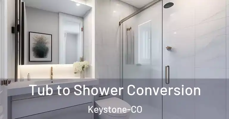 inner Bathroom imggen Tub to Shower Conversion Keystone-CO