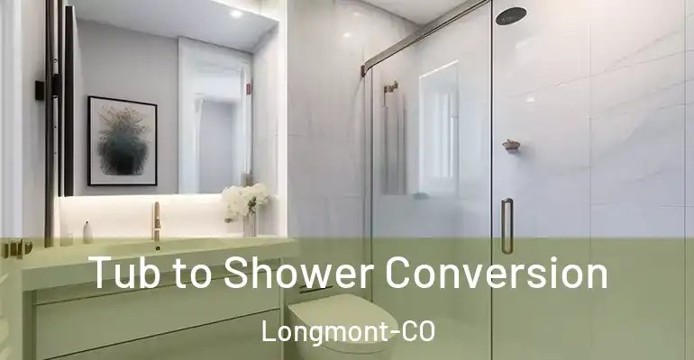 inner Bathroom imggen Tub to Shower Conversion Longmont-CO