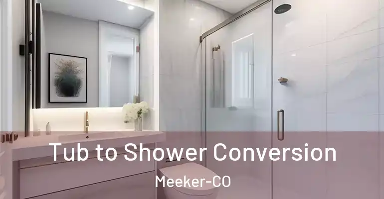 inner Bathroom imggen Tub to Shower Conversion Meeker-CO