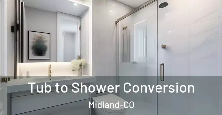 inner Bathroom imggen Tub to Shower Conversion Midland-CO