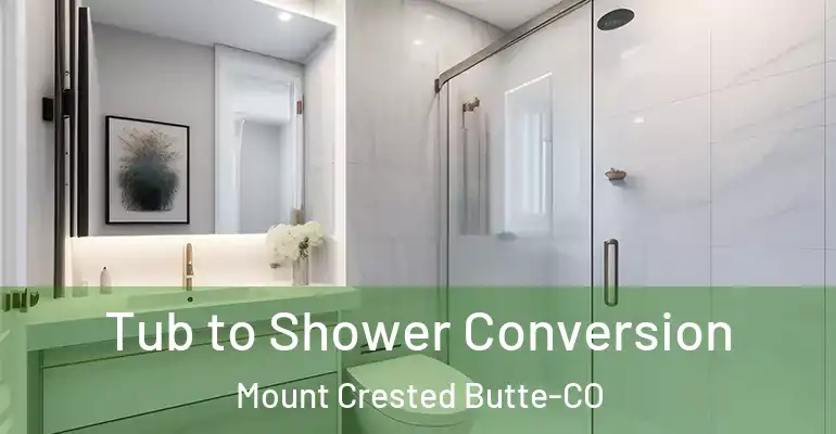 inner Bathroom imggen Tub to Shower Conversion Mount Crested Butte-CO