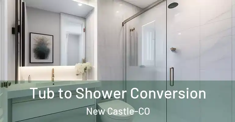 inner Bathroom imggen Tub to Shower Conversion New Castle-CO