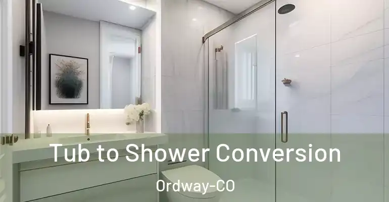 inner Bathroom imggen Tub to Shower Conversion Ordway-CO