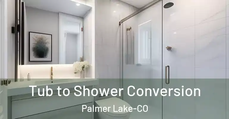 inner Bathroom imggen Tub to Shower Conversion Palmer Lake-CO