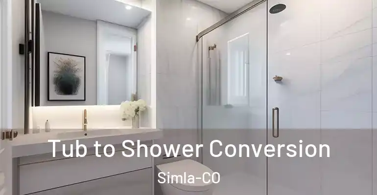 inner Bathroom imggen Tub to Shower Conversion Simla-CO