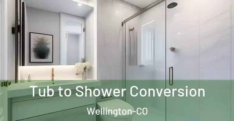 inner Bathroom imggen Tub to Shower Conversion Wellington-CO
