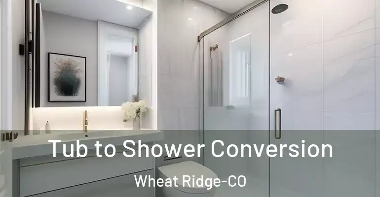 inner Bathroom imggen Tub to Shower Conversion Wheat Ridge-CO