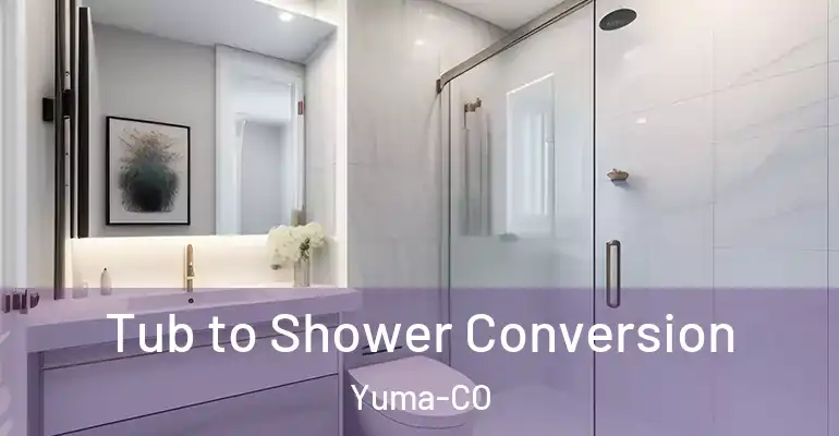 inner Bathroom imggen Tub to Shower Conversion Yuma-CO