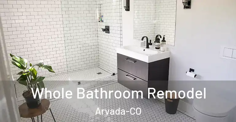 inner Bathroom imggen Whole Bathroom Remodel Arvada-CO