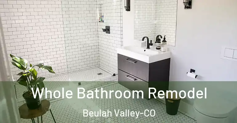 inner Bathroom imggen Whole Bathroom Remodel Beulah Valley-CO