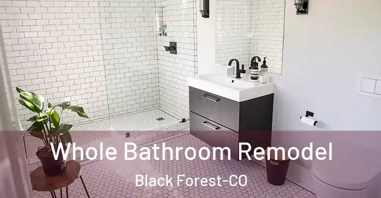 inner Bathroom imggen Whole Bathroom Remodel Black Forest-CO