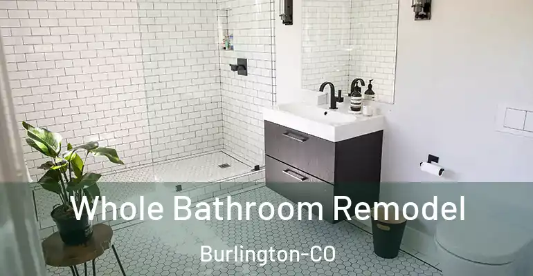 inner Bathroom imggen Whole Bathroom Remodel Burlington-CO