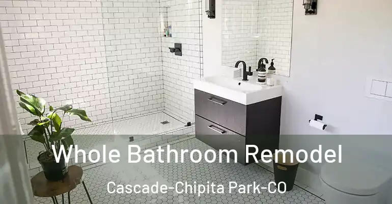 inner Bathroom imggen Whole Bathroom Remodel Cascade-Chipita Park-CO