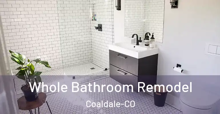 inner Bathroom imggen Whole Bathroom Remodel Coaldale-CO