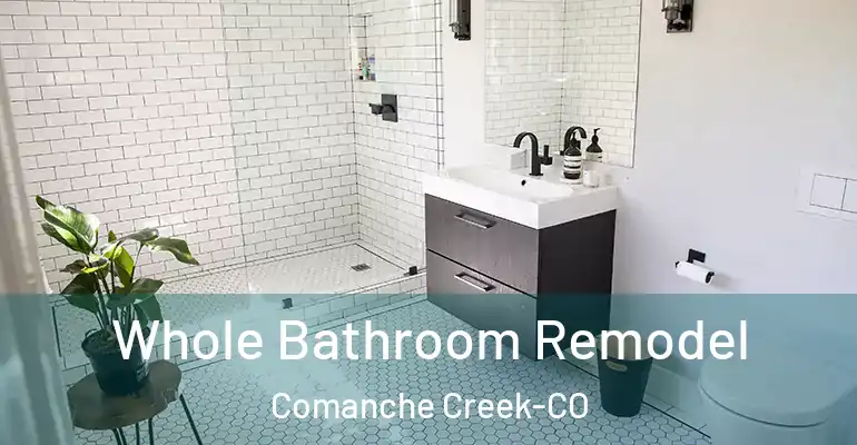inner Bathroom imggen Whole Bathroom Remodel Comanche Creek-CO
