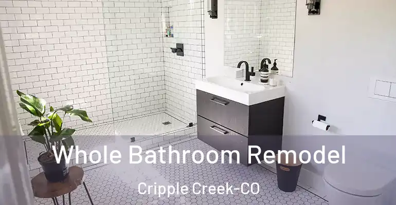 inner Bathroom imggen Whole Bathroom Remodel Cripple Creek-CO