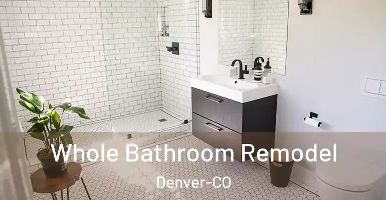 inner Bathroom imggen Whole Bathroom Remodel Denver-CO