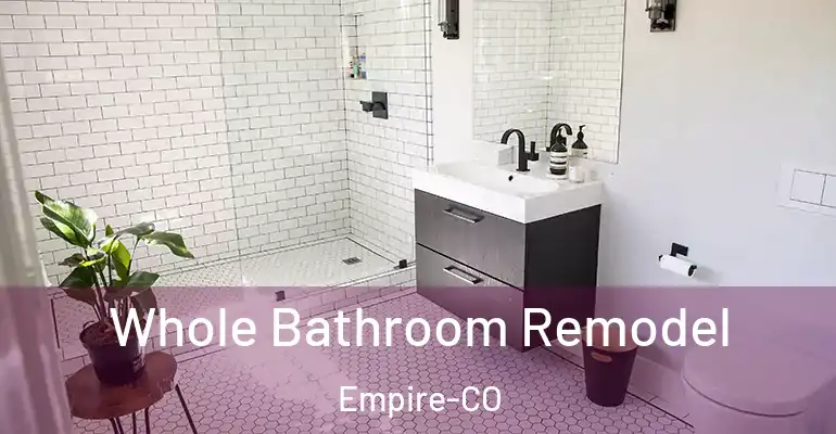 inner Bathroom imggen Whole Bathroom Remodel Empire-CO