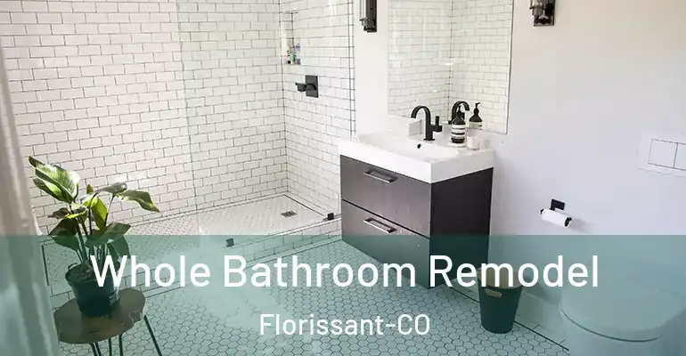 inner Bathroom imggen Whole Bathroom Remodel Florissant-CO