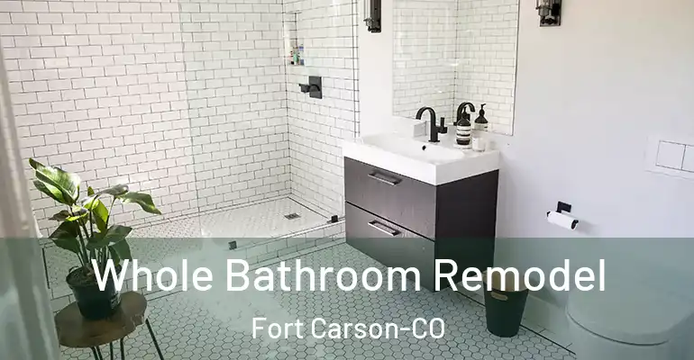 inner Bathroom imggen Whole Bathroom Remodel Fort Carson-CO