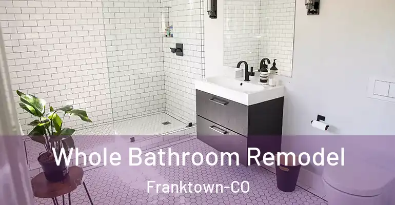 inner Bathroom imggen Whole Bathroom Remodel Franktown-CO