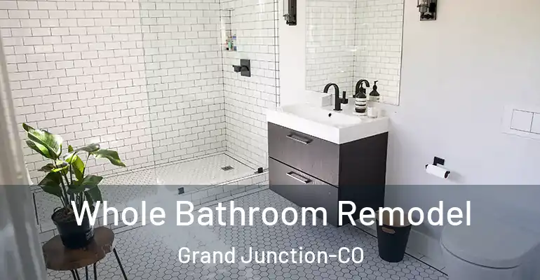 inner Bathroom imggen Whole Bathroom Remodel Grand Junction-CO