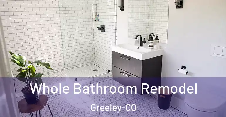 inner Bathroom imggen Whole Bathroom Remodel Greeley-CO