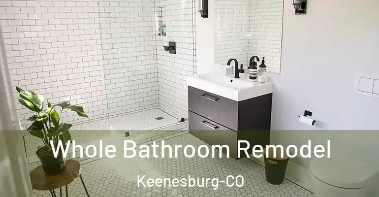 inner Bathroom imggen Whole Bathroom Remodel Keenesburg-CO
